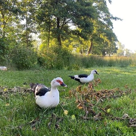 Pipowagens Bij Pannenkoekenrestaurant & Camping De Koppenjan 'Een Uniek Verblijf Met Kinderspeelboerderij' Jubbega-Schurega Bagian luar foto