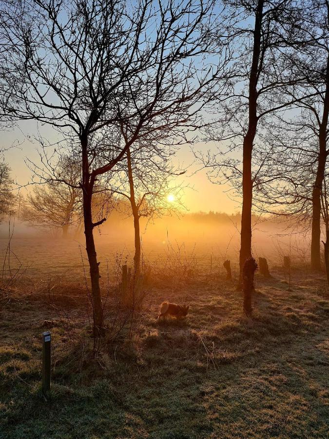 Pipowagens Bij Pannenkoekenrestaurant & Camping De Koppenjan 'Een Uniek Verblijf Met Kinderspeelboerderij' Jubbega-Schurega Bagian luar foto