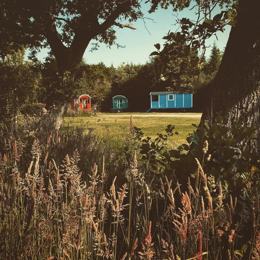 Pipowagens Bij Pannenkoekenrestaurant & Camping De Koppenjan 'Een Uniek Verblijf Met Kinderspeelboerderij' Jubbega-Schurega Bagian luar foto