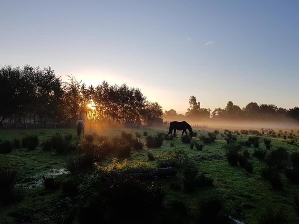 Pipowagens Bij Pannenkoekenrestaurant & Camping De Koppenjan 'Een Uniek Verblijf Met Kinderspeelboerderij' Jubbega-Schurega Bagian luar foto