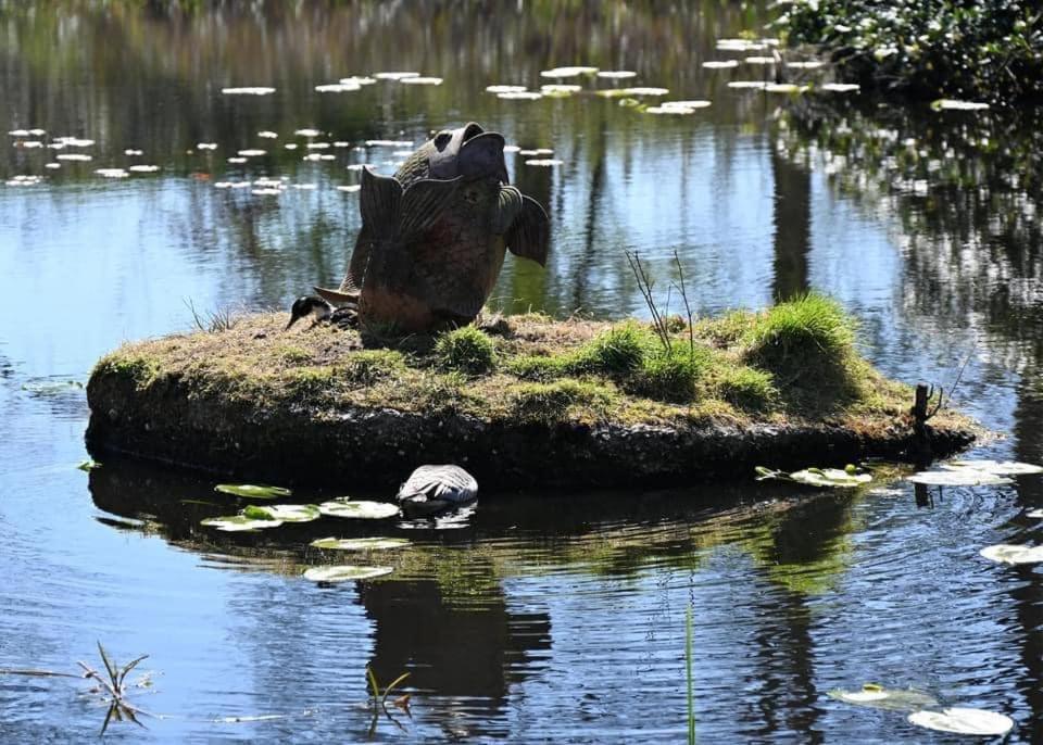 Pipowagens Bij Pannenkoekenrestaurant & Camping De Koppenjan 'Een Uniek Verblijf Met Kinderspeelboerderij' Jubbega-Schurega Bagian luar foto