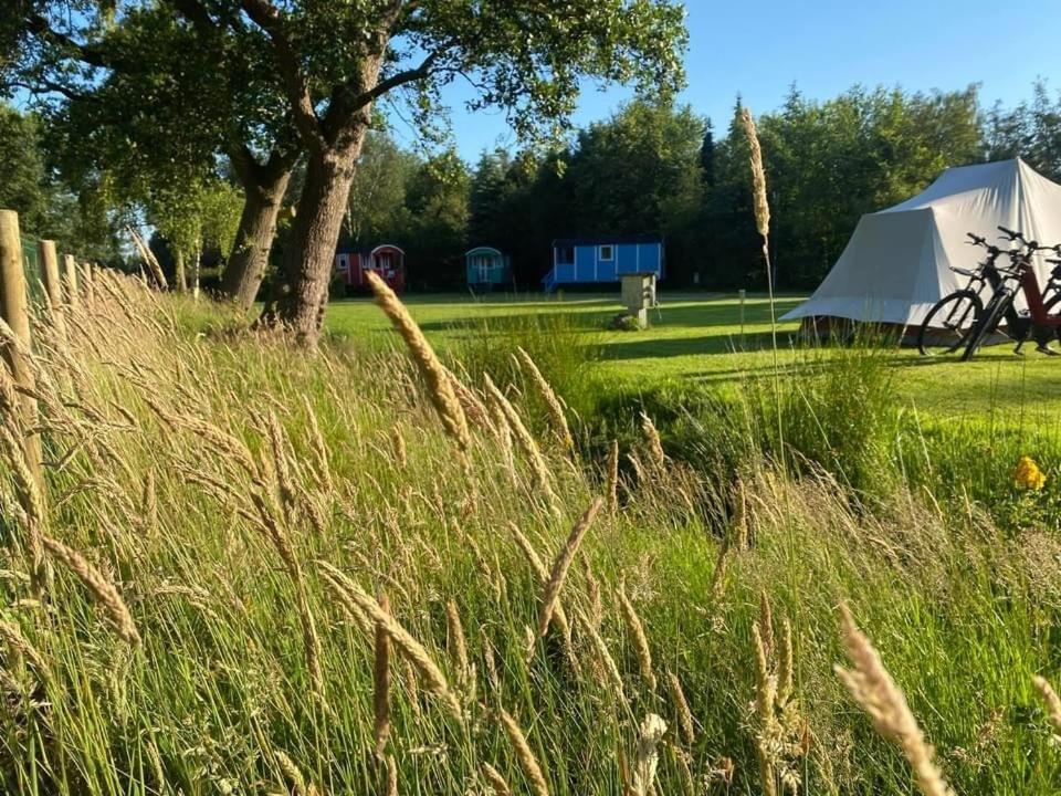 Pipowagens Bij Pannenkoekenrestaurant & Camping De Koppenjan 'Een Uniek Verblijf Met Kinderspeelboerderij' Jubbega-Schurega Bagian luar foto